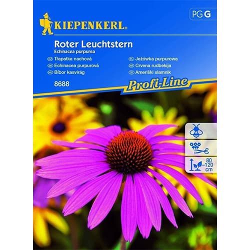 Roter Leuchtstern interface.art Bild 1 Roter Leuchtstern interface.image 1 interface.art 77446