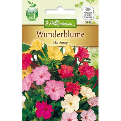 Wunderblume Mischung interface.image 1 interface.art 78924