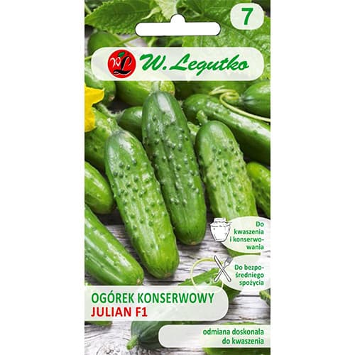 Einlegegurke Julian F1 interface.image 1 interface.art 86883