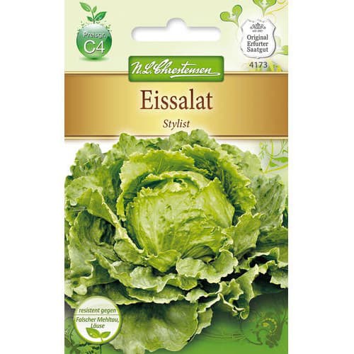 Eissalat Stylist interface.art Bild 1 Eissalat Stylist interface.image 1 interface.art 78762