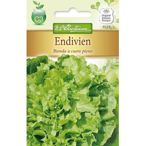 Endivie Bionda a cuore pieno interface.image 1 interface.art 78763