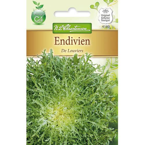 Endivie De Louviers interface.image 1 interface.art 78765