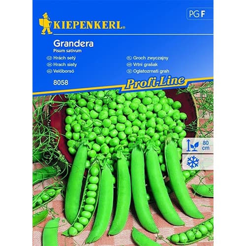 Markerbse Grandera interface.art Bild 1 Markerbse Grandera interface.image 1 interface.art 77477