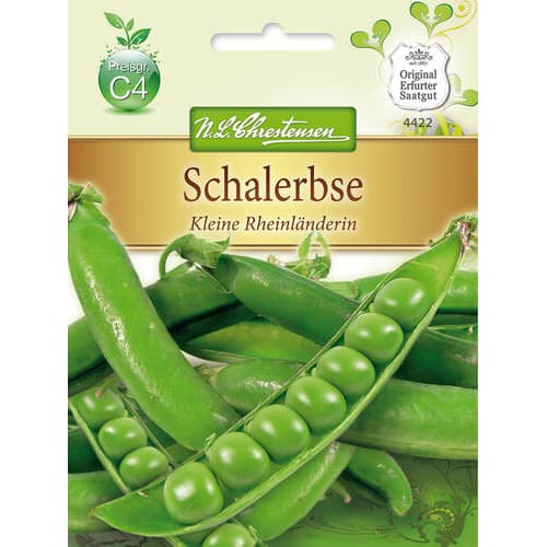 Schalerbse Kleine Rheinlanderin interface.image 1 interface.art 78842