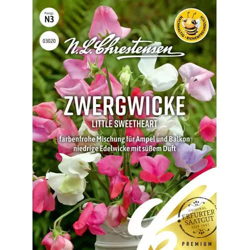Zwergwicke Little Sweetheart interface.art Bild 1 Zwergwicke Little Sweetheart interface.image 1 interface.art 87352