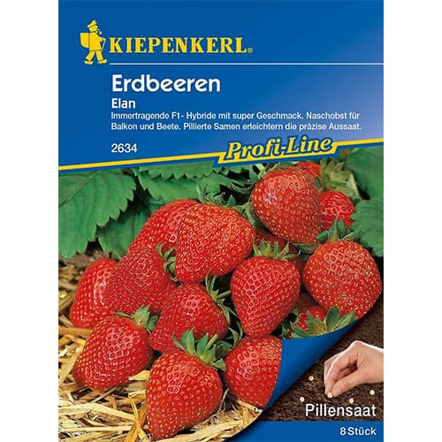 Erdbeeren Elan interface.art Bild 1 Erdbeeren Elan interface.image 1 interface.art 86447