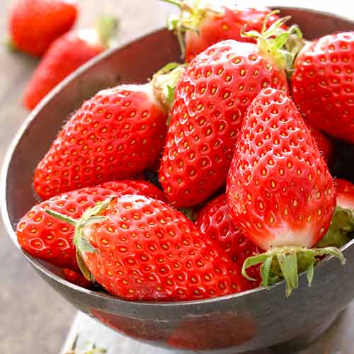 Erdbeeren Gariguette interface.image 1 interface.art 5197