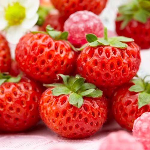 Erdbeeren Mieze Schindler interface.image 1 interface.art 5406