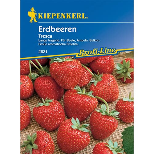 Erdbeeren Tresca interface.image 1 interface.art 86448