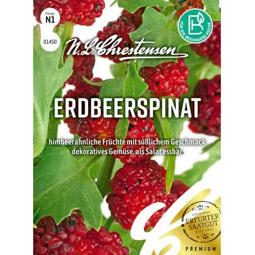 Erdbeerspinat Chrestensen interface.art Bild 1 Erdbeerspinat Chrestensen interface.image 1 interface.art 96472