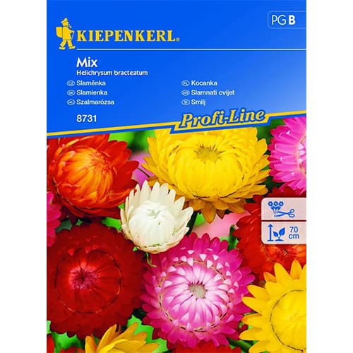 Strohblume Mischung Kiepenkerl interface.art Bild 1 Strohblume Mischung Kiepenkerl interface.image 1 interface.art 96542