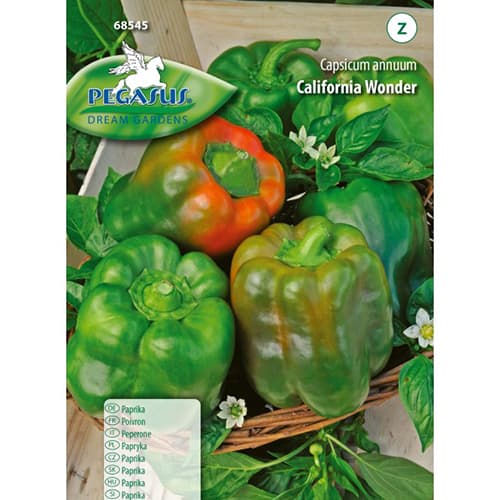 Paprika California Wonder Kiepenkerl interface.image 1 interface.art 50015