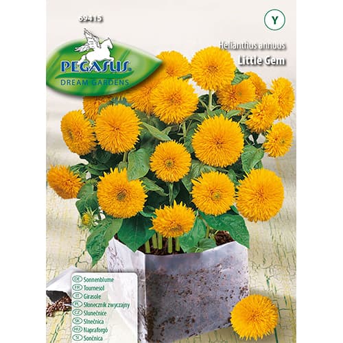 Sonnenblumen Little Gem interface.image 1 interface.art 96578