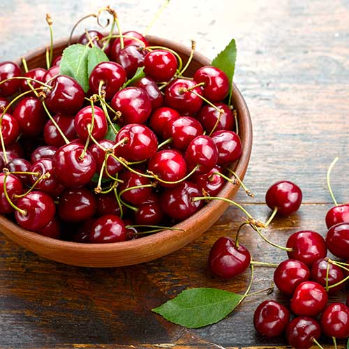 Süßkirsche Sabrina interface.image 1 interface.art 6926