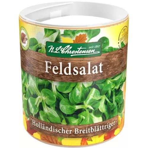 Feldsalat Holländisch Breitblättrig interface.image 1 interface.art 86224