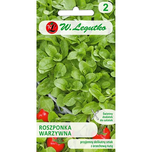 Feldsalat Verte de Cambrai interface.image 1 interface.art 78497