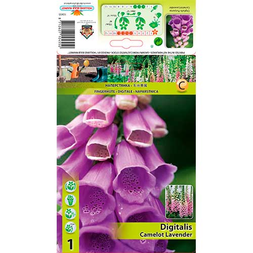 Fingerhut Camellot Lavender interface.art Bild 1 Fingerhut Camellot Lavender interface.image 1 interface.art 76225
