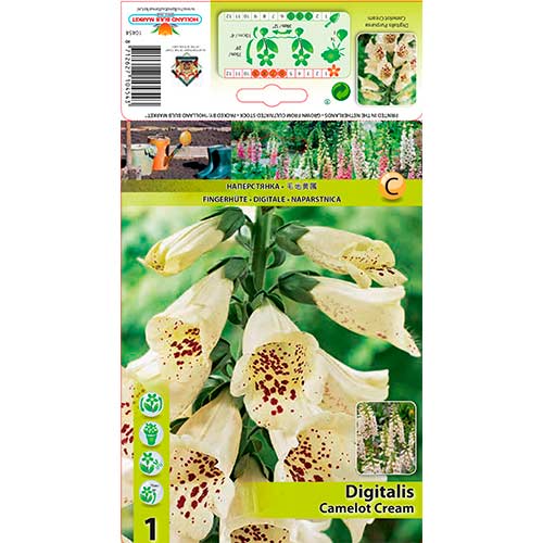 Fingerhut Camelot Cream interface.art Bild 1 Fingerhut Camelot Cream interface.image 1 interface.art 76226