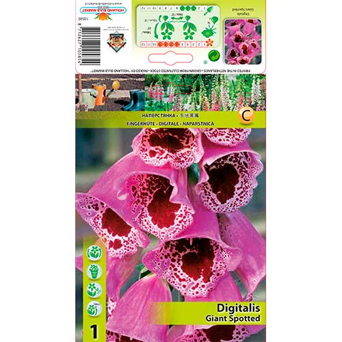 Fingerhut Giant Spotted interface.art Bild 1 Fingerhut Giant Spotted interface.image 1 interface.art 70384