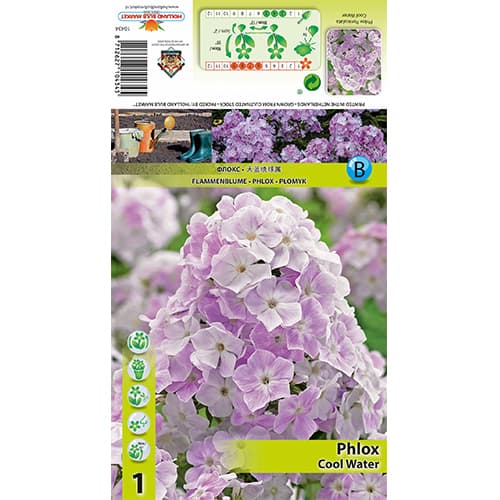 Flammenblume Cool Water interface.image 1 interface.art 77835