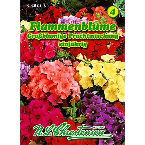 Flammenblume Großblumige Prachtmischung interface.image 1 interface.art 86180