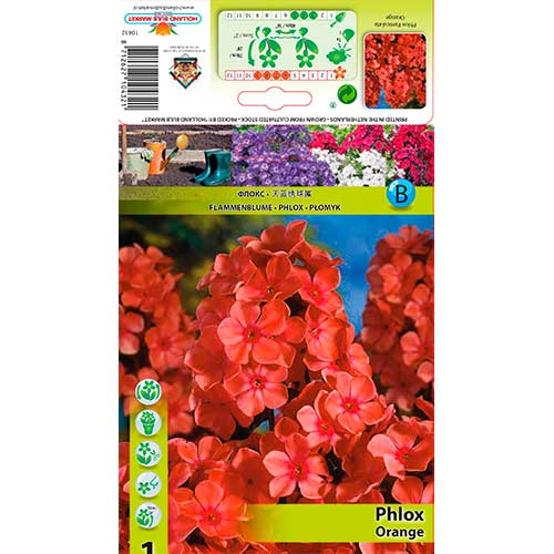 Flammenblume Orange interface.art Bild 1 Flammenblume Orange interface.image 1 interface.art 76617