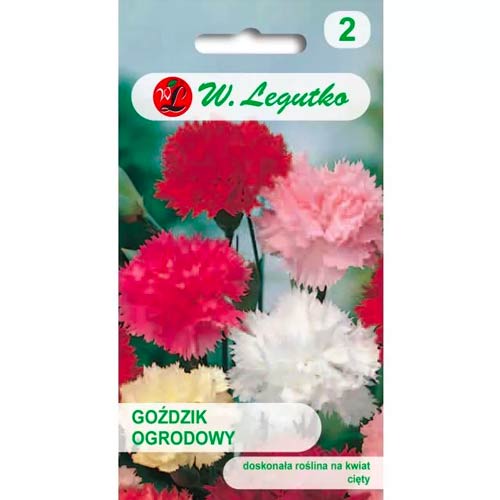 Gartennelke, mischung Legutko interface.image 1 interface.art 50101