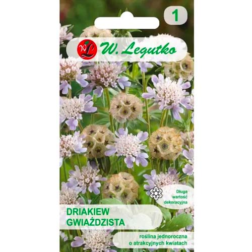 Gartenscabiose sternenklar mischung Legutko interface.art Bild 1 Gartenscabiose sternenklar mischung Legutko interface.image 1 interface.art 96697