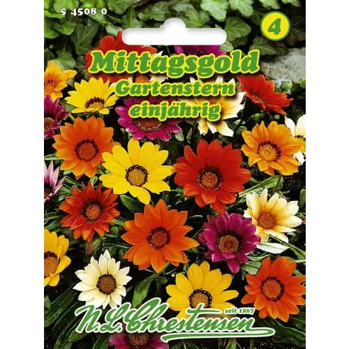 Mittagsgold Gartenstern interface.art Bild 1 Mittagsgold Gartenstern interface.image 1 interface.art 96423