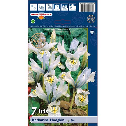 Geäderte Iris Katharine Hodgkin interface.image 1 interface.art 70226