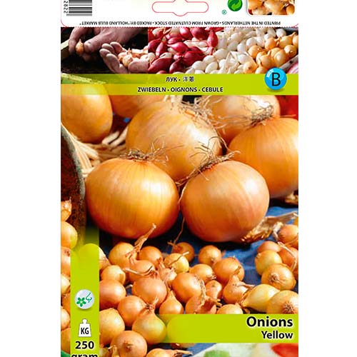 Gelbe Zwiebeln interface.image 1 interface.art 70496