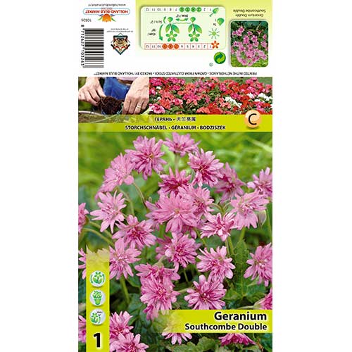 Geranie Southcombe Double interface.image 1 interface.art 70391