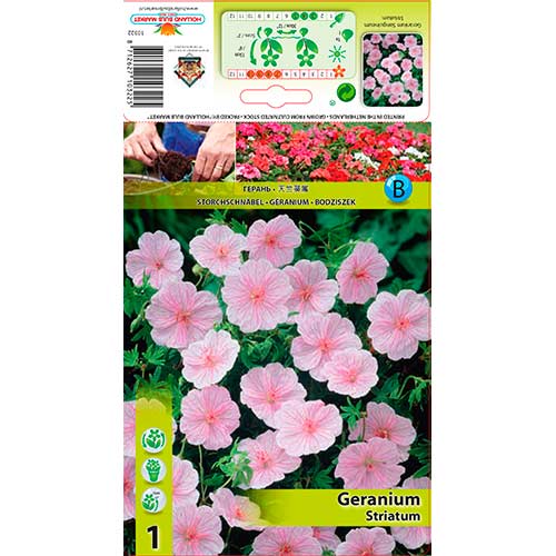 Geranie Striatum interface.image 1 interface.art 76584