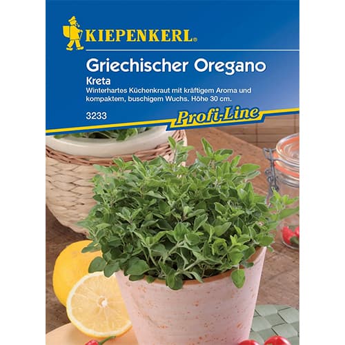 Griechischer Oregano Kreta interface.image 1 interface.art 96641