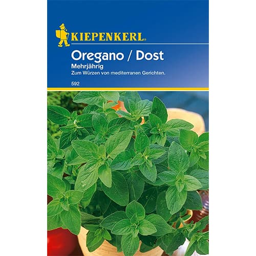 Oregano / Dost Mehrjährig interface.image 1 interface.art 77483