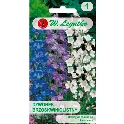 Glockenblume pfirsichblatt mischung Legutko interface.image 1 interface.art 50094