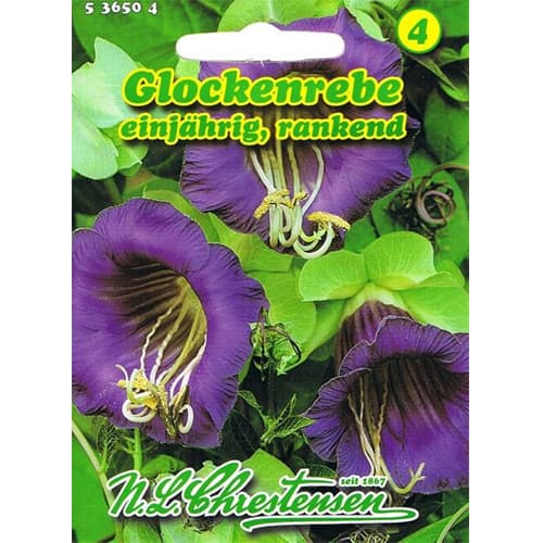 Glockenrebe Chrestensen interface.image 1 interface.art 78982