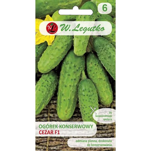 Gurke Cezar F1 interface.image 1 interface.art 86874