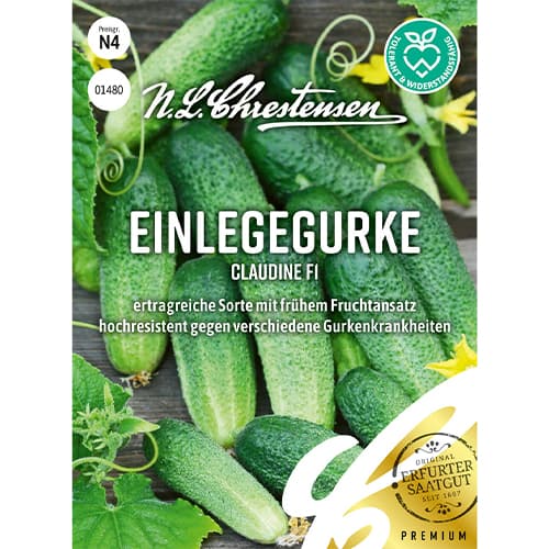 Einlegegurke Claudine F1 interface.image 1 interface.art 86034