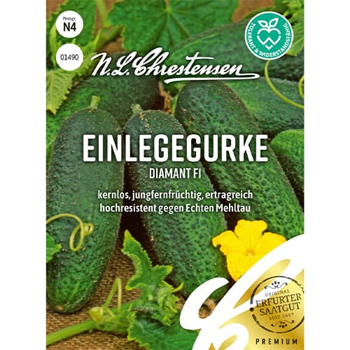 Einlegegurke Diamant F1 interface.art Bild 1 Einlegegurke Diamant F1 interface.image 1 interface.art 86035