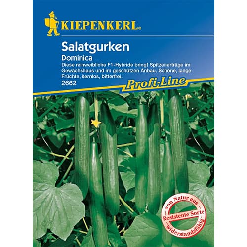 Salatgurke Dominica F1 interface.image 1 interface.art 96669