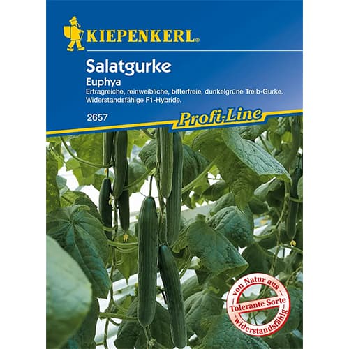 Salatgurke Euphya F1 interface.image 1 interface.art 86521
