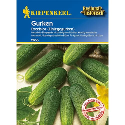 Einlegegurke Excelsior F1 interface.image 1 interface.art 86445