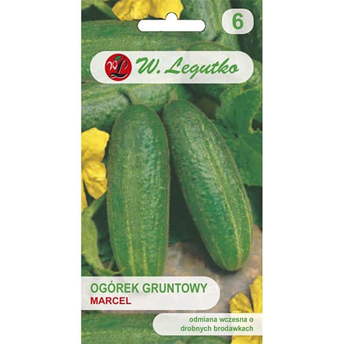 Gurke Marcel F1 interface.image 1 interface.art 86877