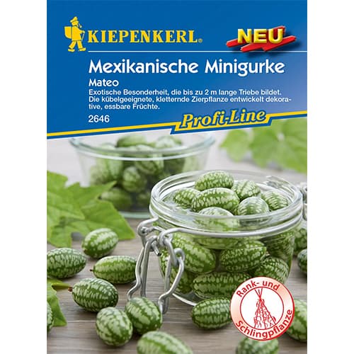 Mexikanische Minigurke Mateo interface.image 1 interface.art 96634