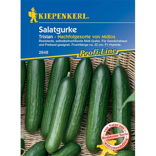 Gurke Midele Kiepenkerl interface.art Bild 1 Gurke Midele Kiepenkerl interface.image 1 interface.art 50023