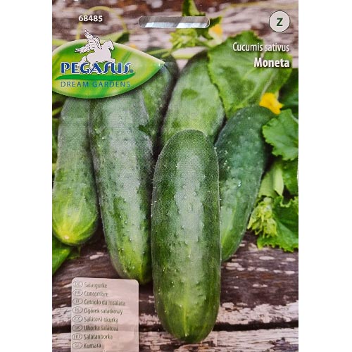 Gurke Moneta interface.image 1 interface.art 96670