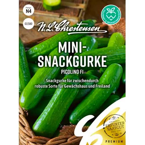 Gurke Picolino F1 Chrestensen interface.image 1 interface.art 50051