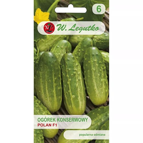 Gurke Polan F1 interface.image 1 interface.art 86857