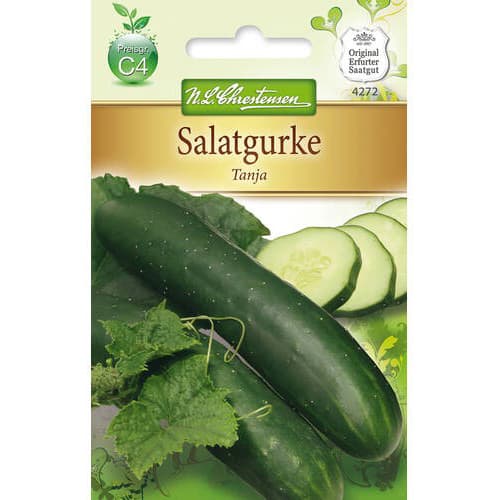 Salatgurke Tanja interface.art Bild 1 Salatgurke Tanja interface.image 1 interface.art 78792